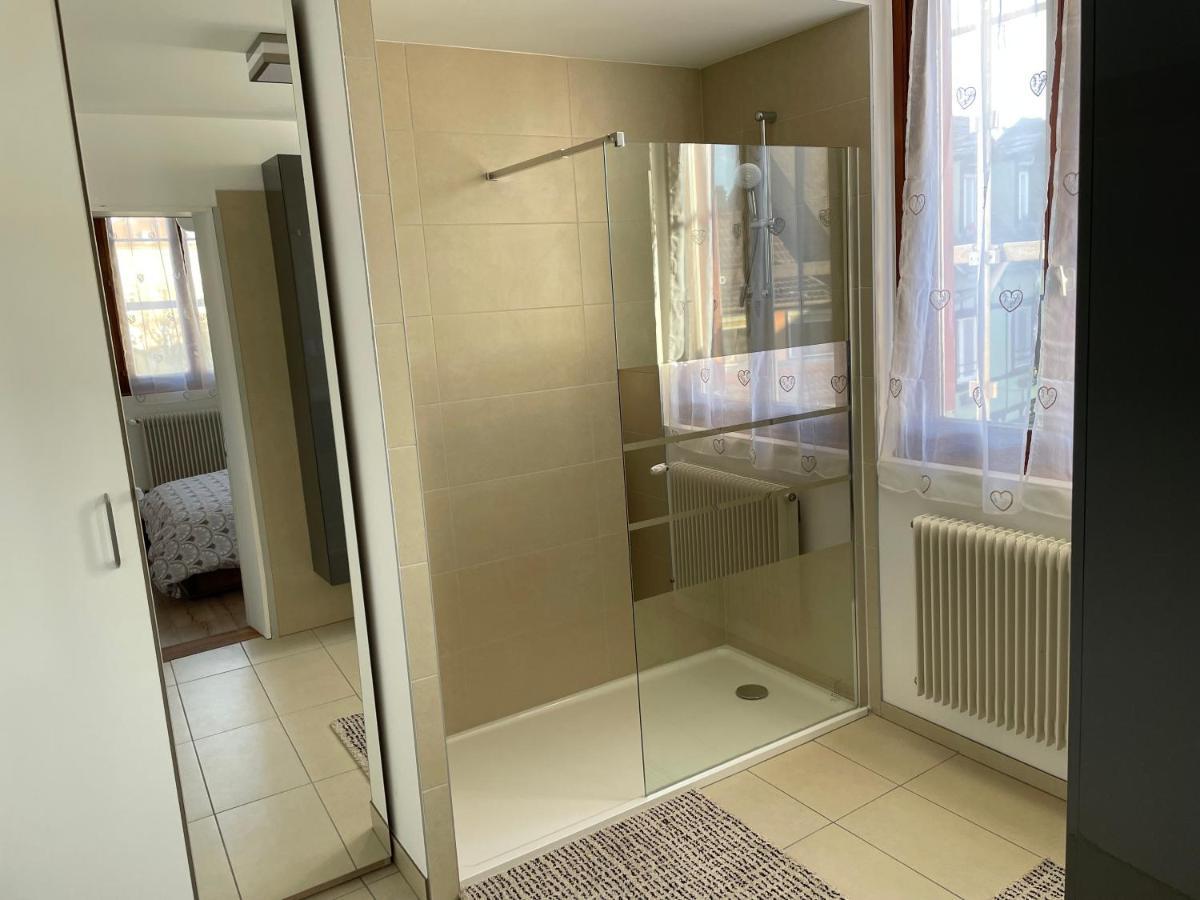Appartement Le Fil D'Or Кольмар Екстер'єр фото